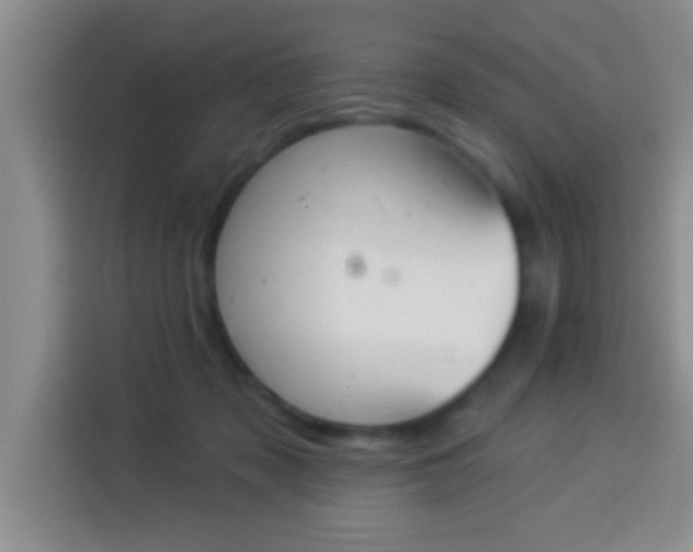 X0000113940317200910021307