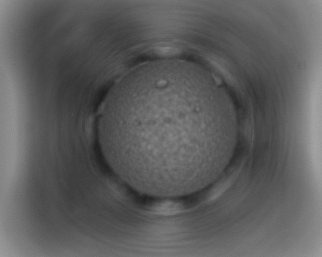 X0000113940319200910021307