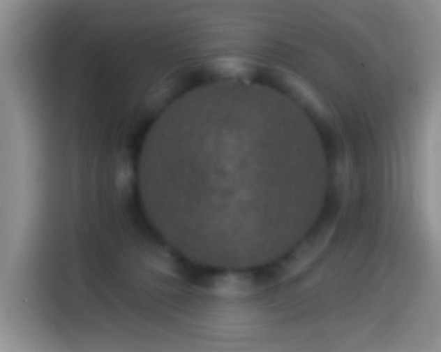 X0000113940320200910021307