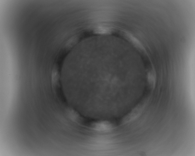 X0000113940322200910021307