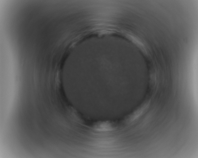 X0000113940325200910021307