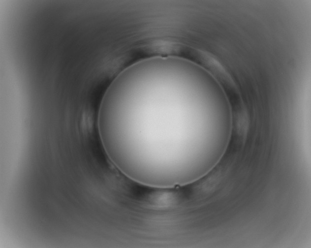 X0000113940326200910021307