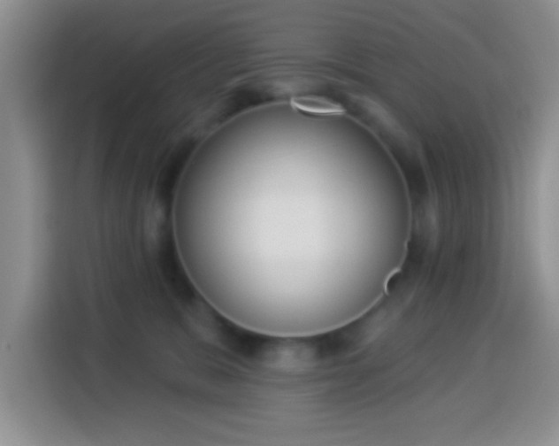 X0000113940327200910021307