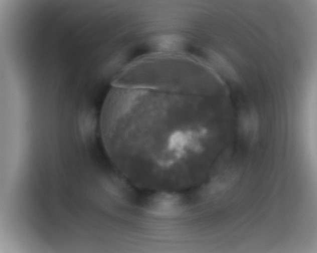 X0000113940328200910021307