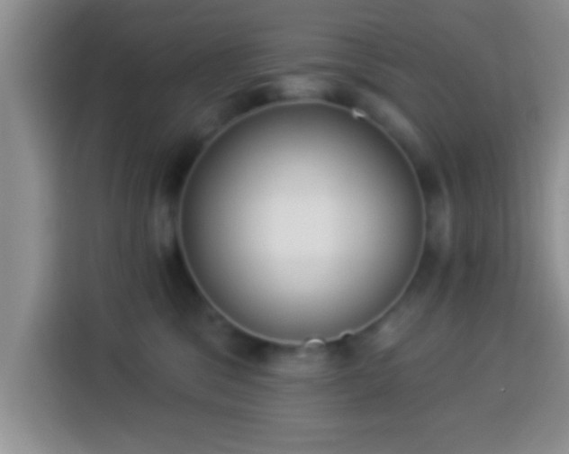 X0000113940329200910021307