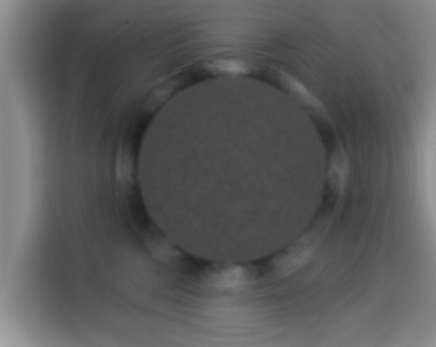 X0000113940330200910021307