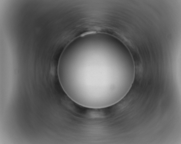 X0000113940331200910021307