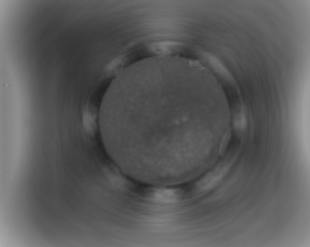 X0000113940332200910021307