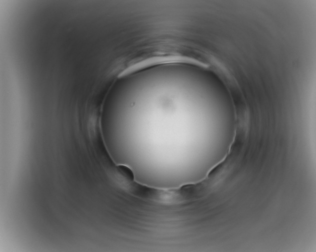 X0000113940333200910021307