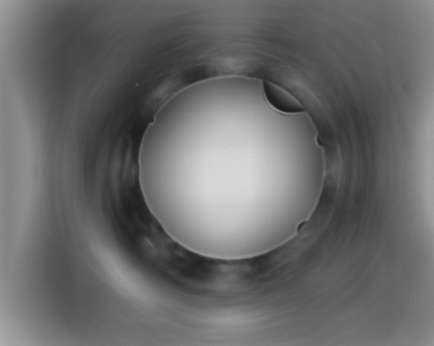 X0000113940334200910021307