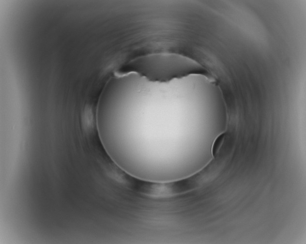 X0000113940335200910021307