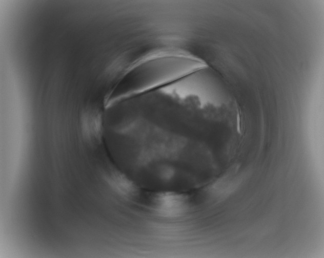 X0000113940336200910021307