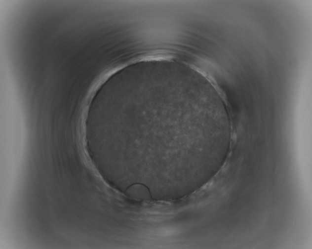 X0000113940337200910021307