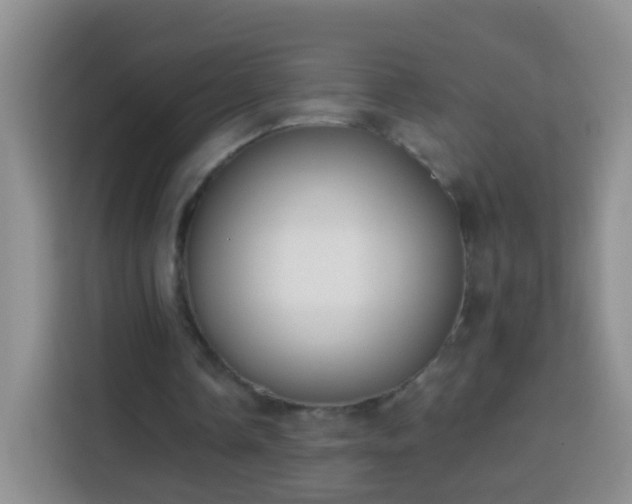 X0000113940338200910021307