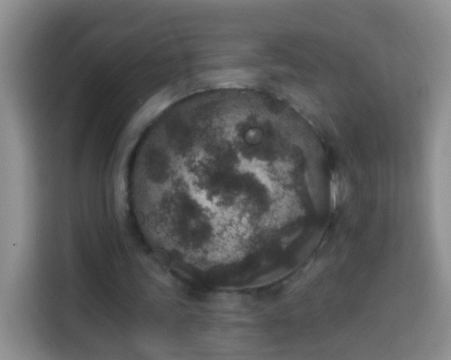 X0000113940339200910021307