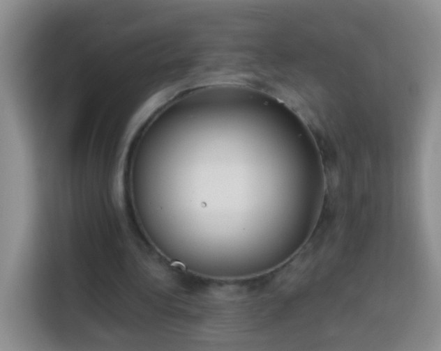 X0000113940340200910021307