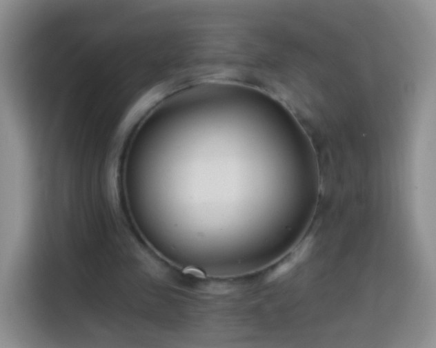 X0000113940341200910021307