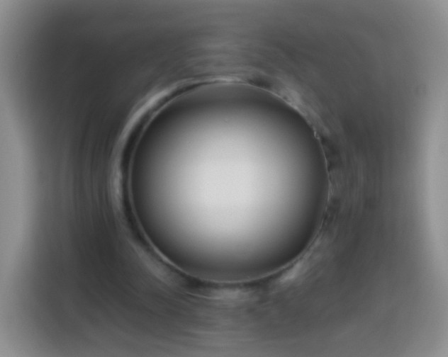 X0000113940342200910021307