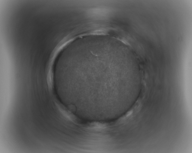 X0000113940343200910021307