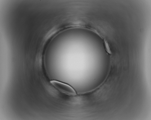 X0000113940344200910021307