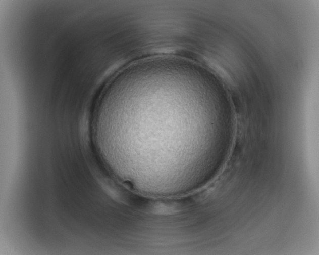 X0000113940346200910021307