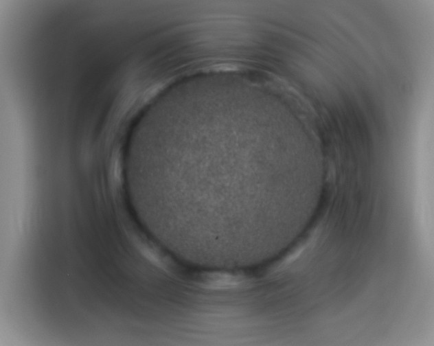 X0000113940347200910021307