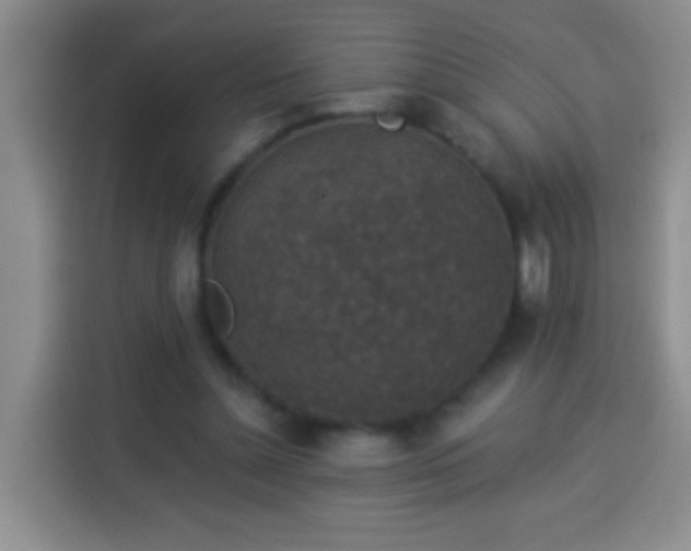 X0000113940348200910021307