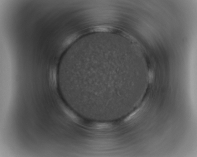 X0000113940349200910021307