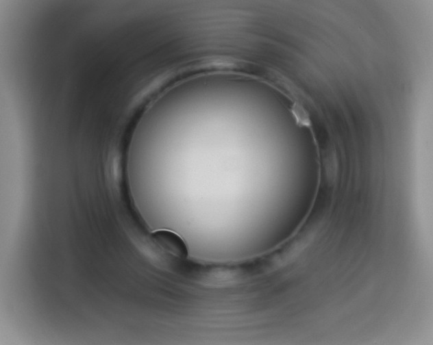 X0000113940350200910021307