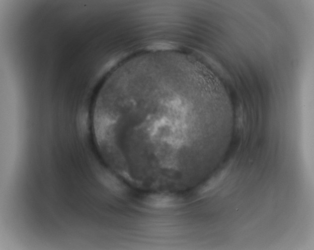 X0000113940351200910021307