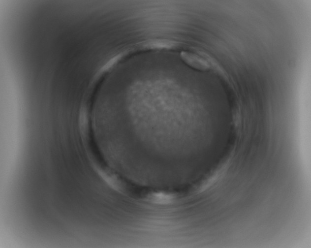 X0000113940352200910021307