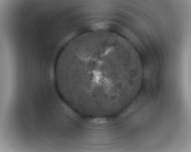 X0000113940353200910021307