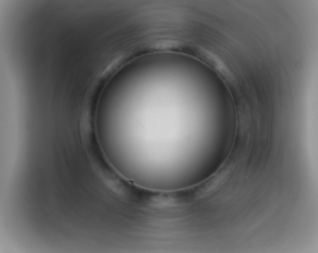 X0000113940354200910021307