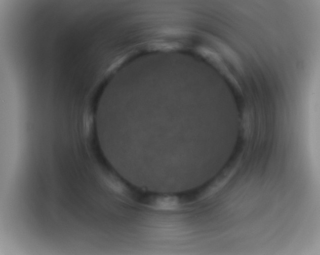 X0000113940355200910021307