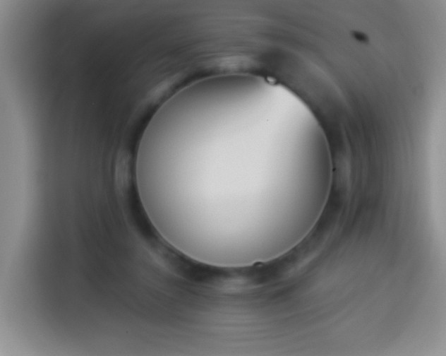 X0000113940356200910021307