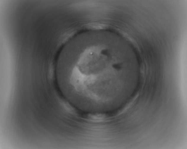 X0000113940359200910021307