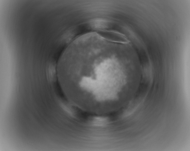 X0000113940360200910021307