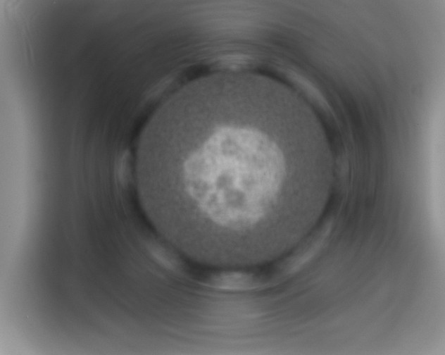 X0000113940361200910021307