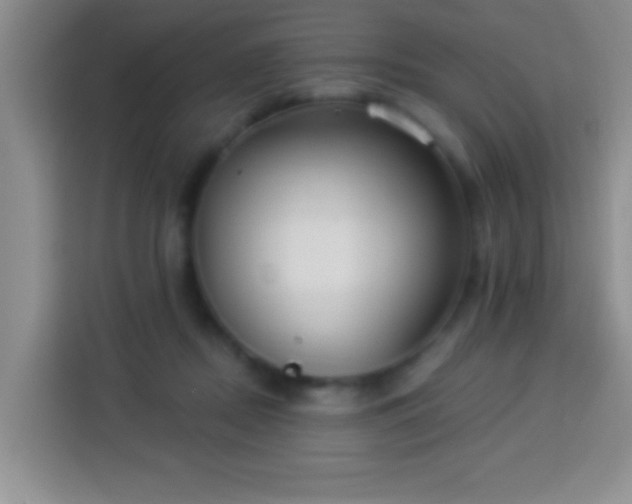 X0000113940362200910021307