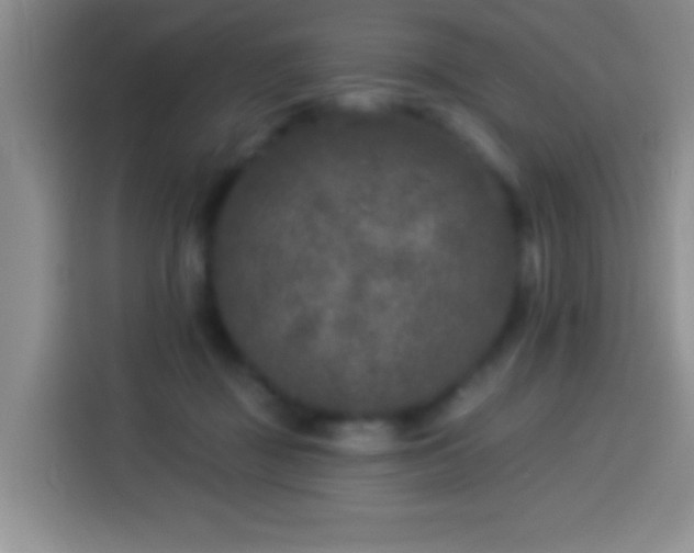 X0000113940363200910021307