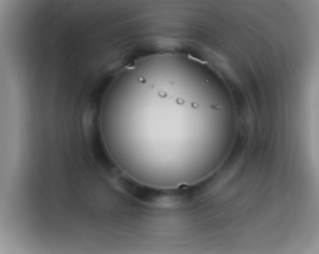 X0000113940364200910021307