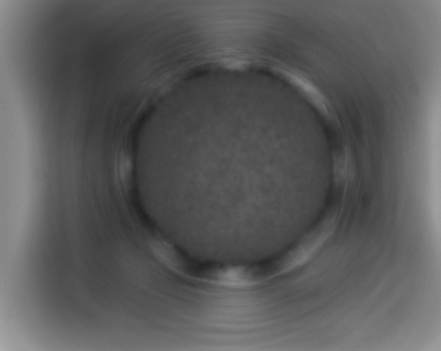 X0000113940365200910021307