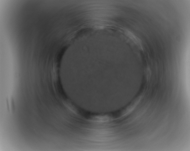 X0000113940366200910021307