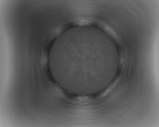 X0000113940367200910021307