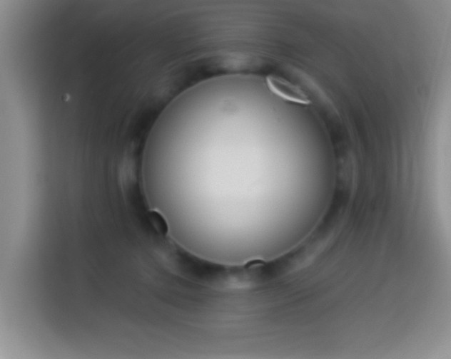 X0000113940368200910021307