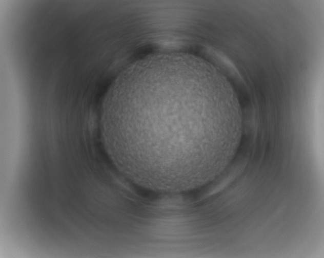 X0000113940369200910021307