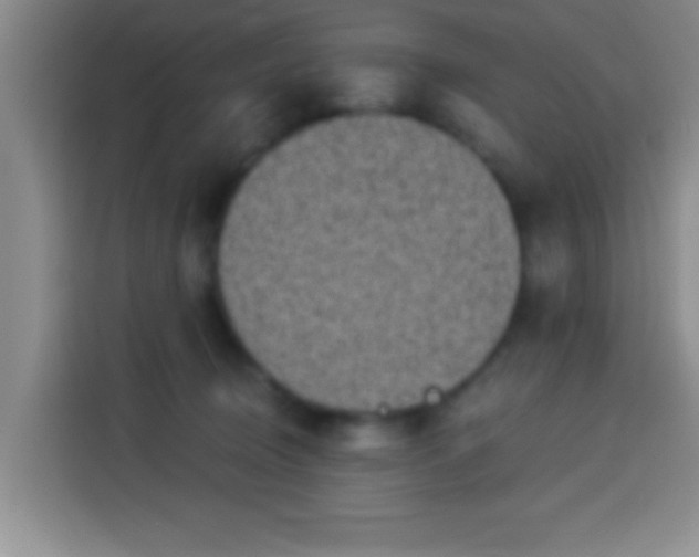 X0000113940370200910021307