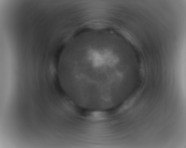 X0000113940371200910021307