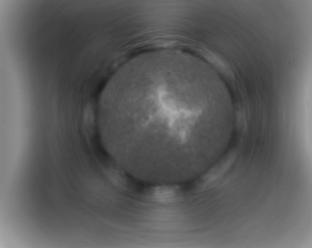 X0000113940373200910021307