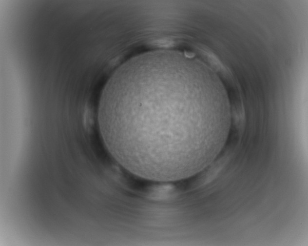 X0000113940374200910021307